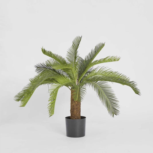 Cycad Palm 80cm | Luxury home decor and furniture by Home Decor & Co