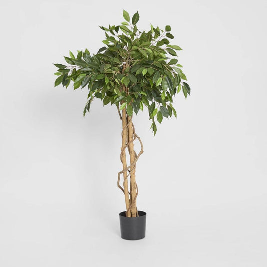 Ficus Ball Tree 1.2m | Luxury home decor and furniture by Home Decor & Co