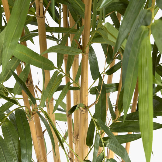 Giant Bamboo Tree 2.4m, view 2