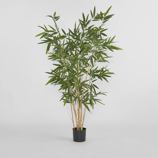 New Bamboo Tree Budget 1.6m | Luxury home decor and furniture by Home Decor & Co