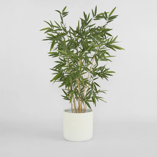 New Bamboo Tree Budget 1.6m | Luxury home decor and furniture by Home Decor & Co