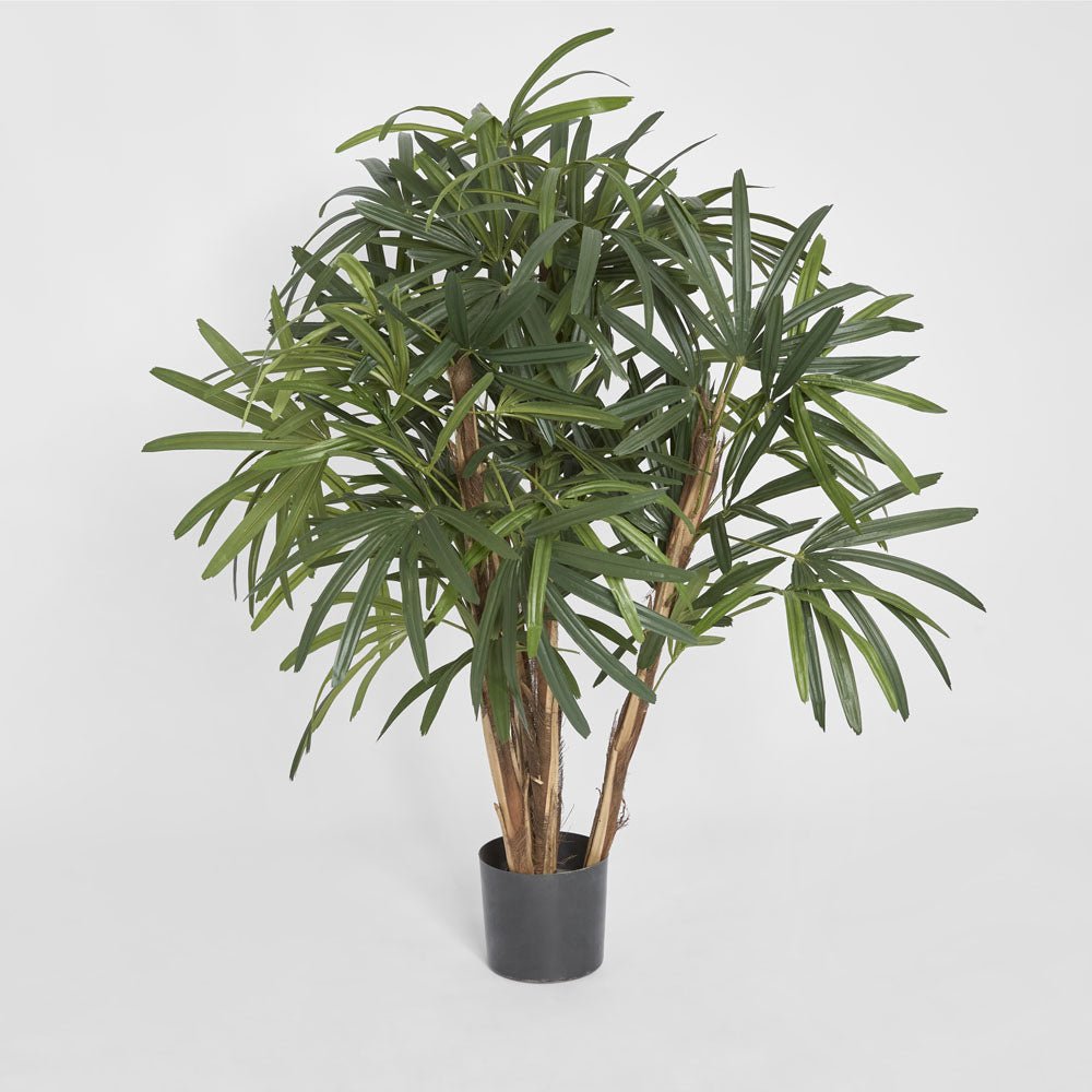 Raphis Palm Thin Leaf 1.2m | Luxury home decor and furniture by Home Decor & Co