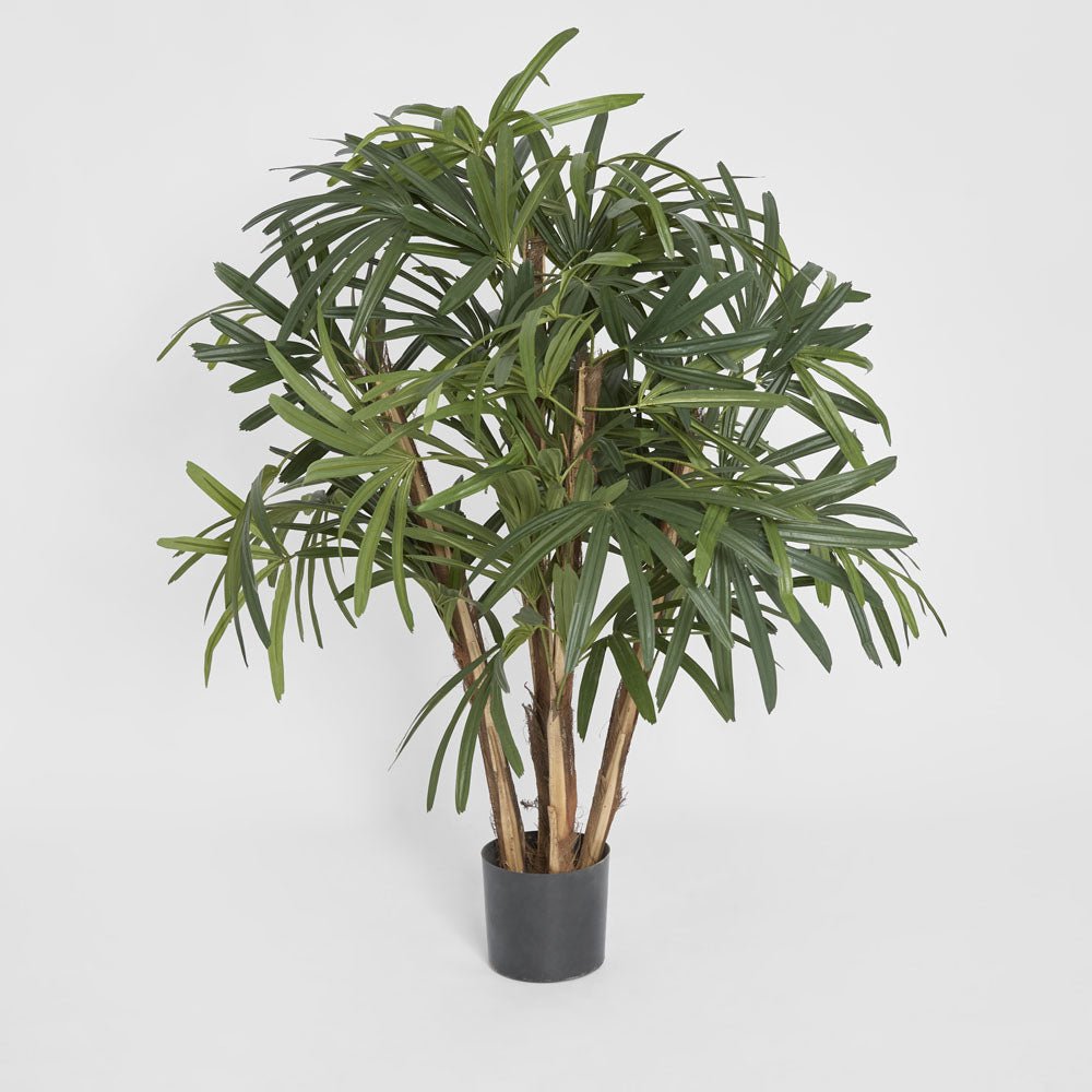 Raphis Palm Thin Leaf 1.2m | Luxury home decor and furniture by Home Decor & Co