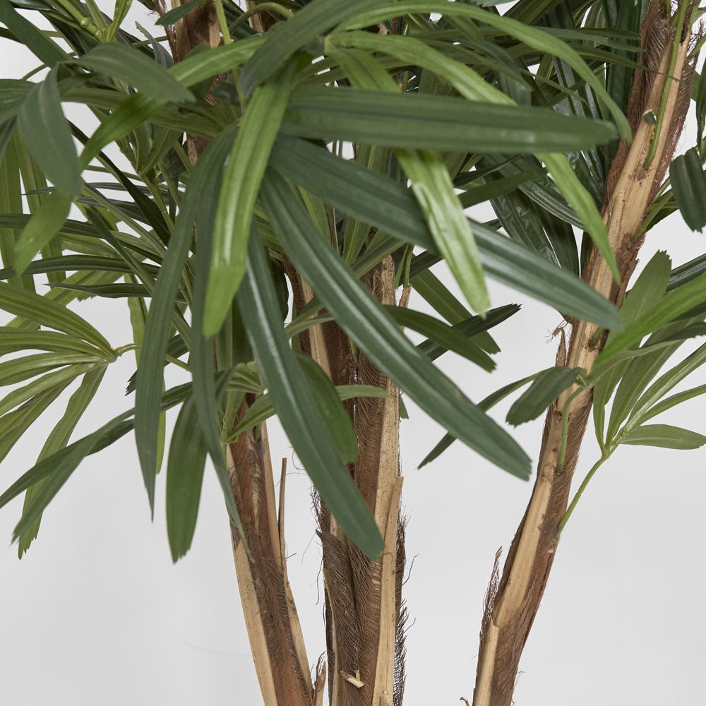 Raphis Palm Thin Leaf 1.2m | Luxury home decor and furniture by Home Decor & Co