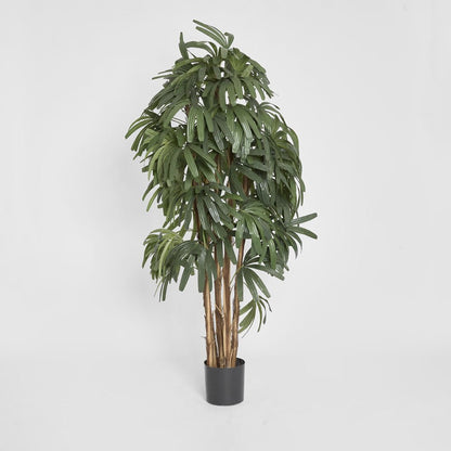 Raphis Palm Thin Leaf 1.8m, artificial plant