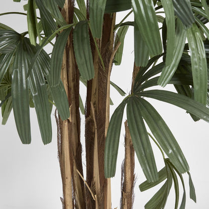 Raphis Palm Thin Leaf 1.8m, view 3