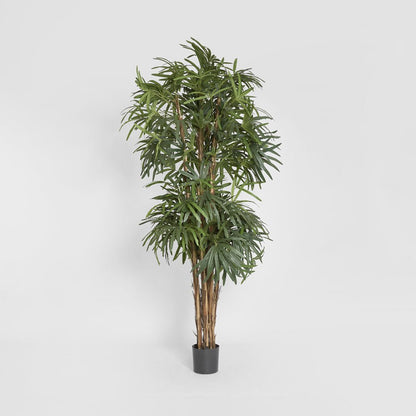 Raphis Palm Thin Leaf 2.4m, artificial plant