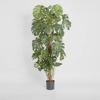 Split-Leaf Philodendron 1.5m, artificial plant