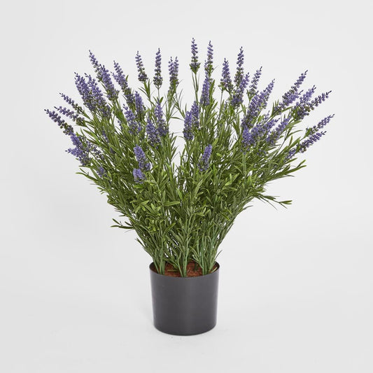68cm Potted Lavender Bush | Luxury home decor and furniture by Home Decor & Co