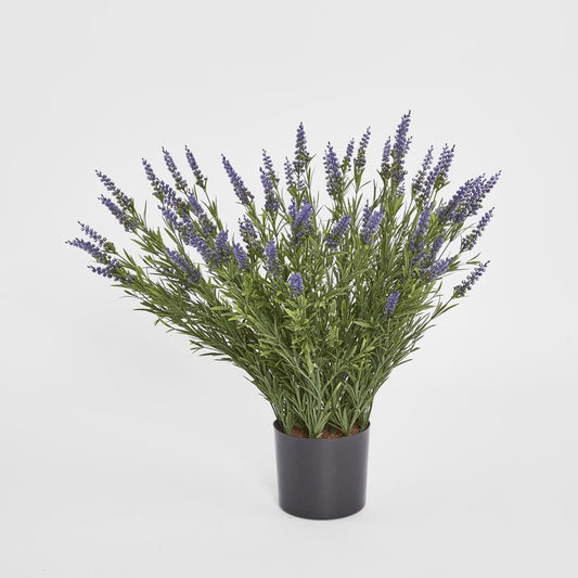68cm Potted Lavender Bush | Luxury home decor and furniture by Home Decor & Co