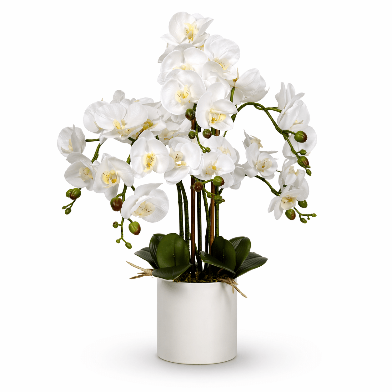 Large Multi - Stem White Potted Faux Orchid 65cm | Luxury home decor and furniture by Home Decor & Co