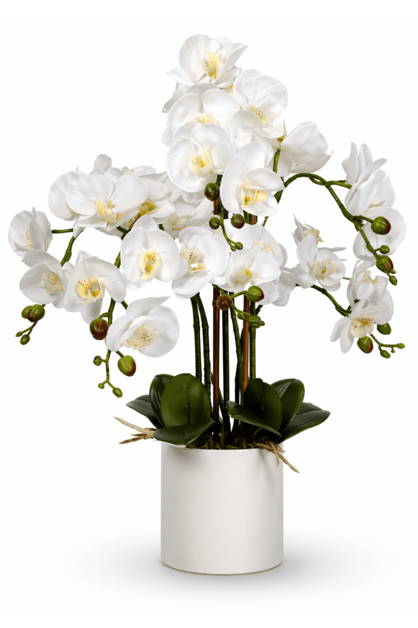 Large Multi - Stem White Potted Faux Orchid 65cm | Luxury home decor and furniture by Home Decor & Co