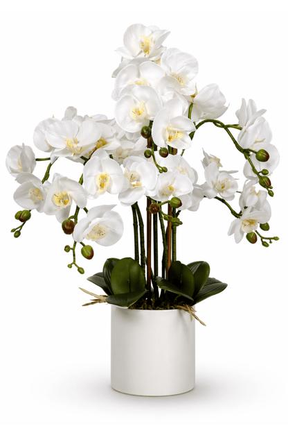 Large Multi-Stem White Potted Faux Orchid 65cm, artificial flowers