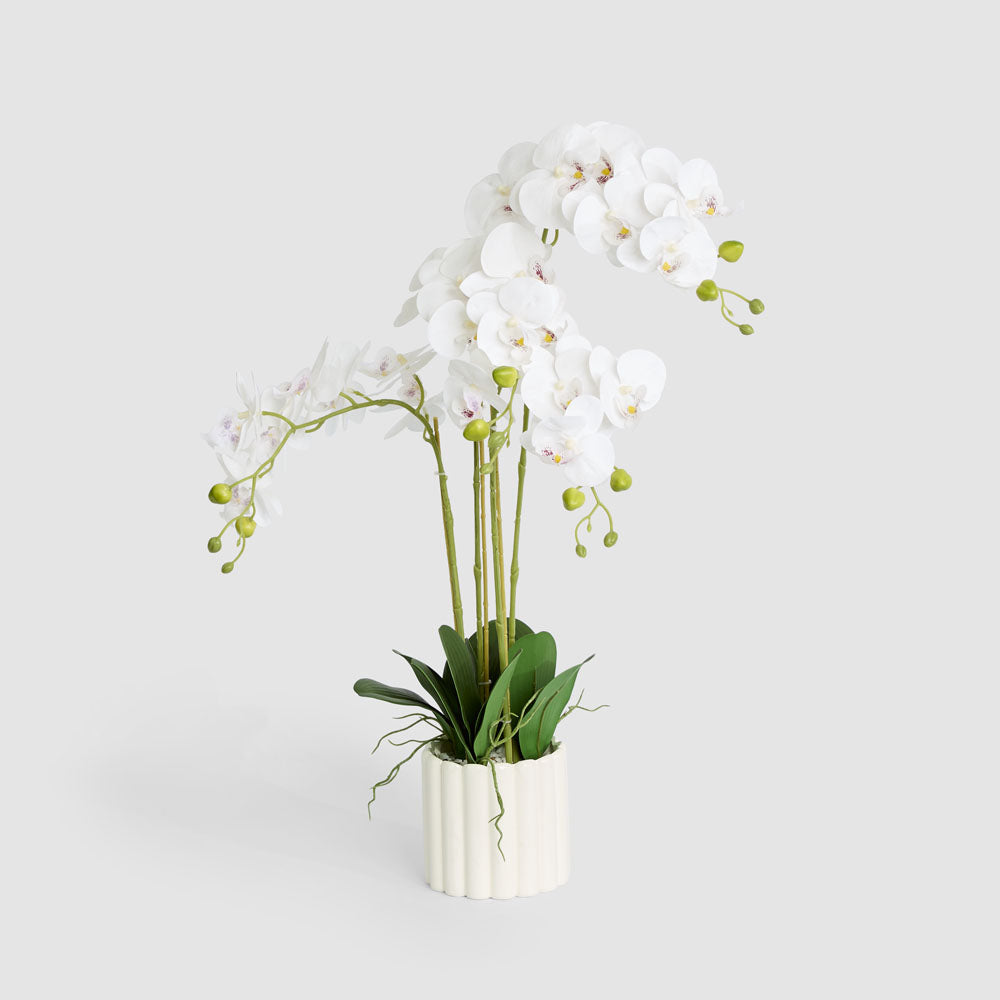 Potted Real Touch Phalaenopsis Orchid