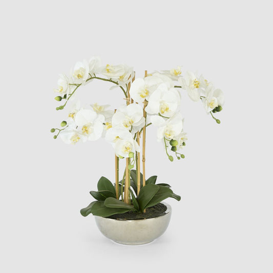Phalaenopsis Real Touch in Silver Pot 50cm White | Luxury home decor and furniture by Home Decor & Co