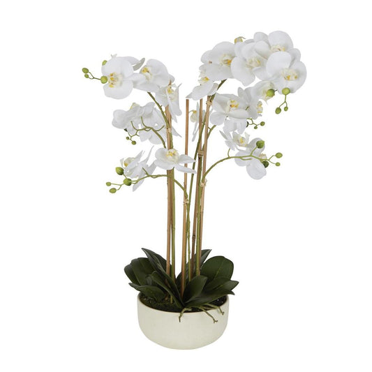 Orchid Potted Real Touch 71cm White | Luxury home decor and furniture by Home Decor & Co