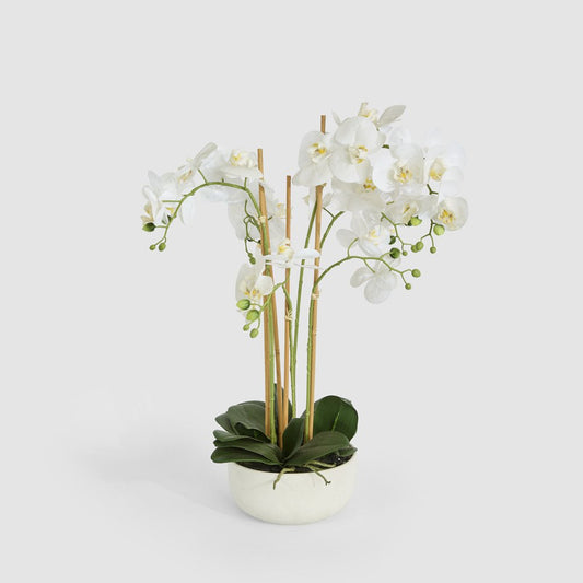 Orchid Potted Real Touch 71cm White, view 2