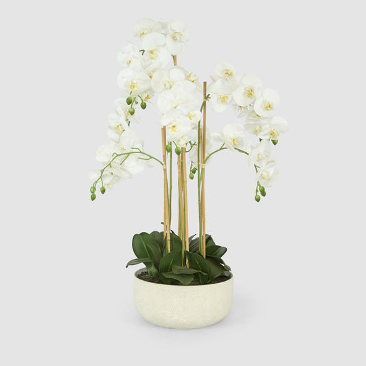 Orchid Potted Real Touch 100cm White | Luxury home decor and furniture by Home Decor & Co