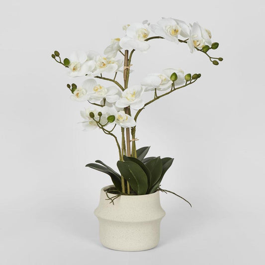 Real Touch Phalaenopsis Arrangement in Zara Pot 58cm | Luxury home decor and furniture by Home Decor & Co