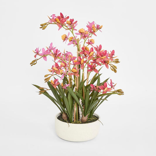 Deluxe Potted Cycnoches Orchid | Luxury home decor and furniture by Home Decor & Co