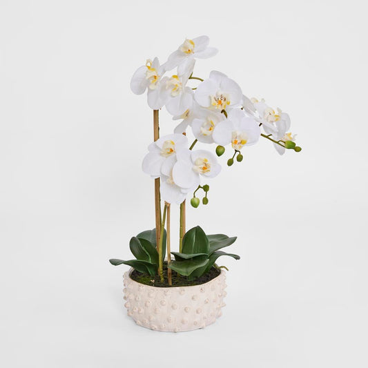Spike Real Touch Potted Phalaenopsis Orchid LGE | Luxury home decor and furniture by Home Decor & Co