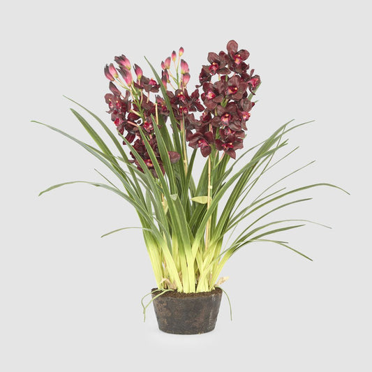 Cymbidium Giant Paper Pot 1.1m Burgundy | Luxury home decor and furniture by Home Decor & Co