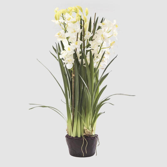 Cymbidium Giant Paper Pot 1.1m White | Luxury home decor and furniture by Home Decor & Co