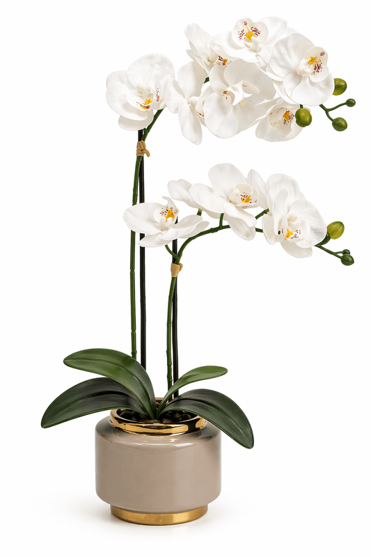Real Touch Artificial Orchid Pot 50cm | Luxury home decor and furniture by Home Decor & Co