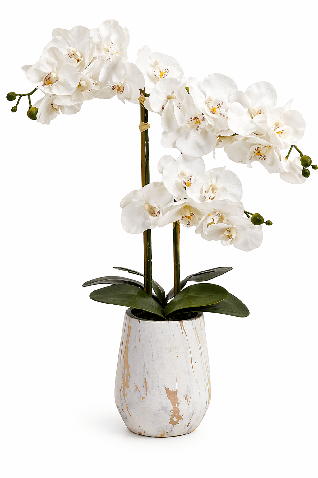 Real Touch Artificial Orchid Pot 55cm | Luxury home decor and furniture by Home Decor & Co