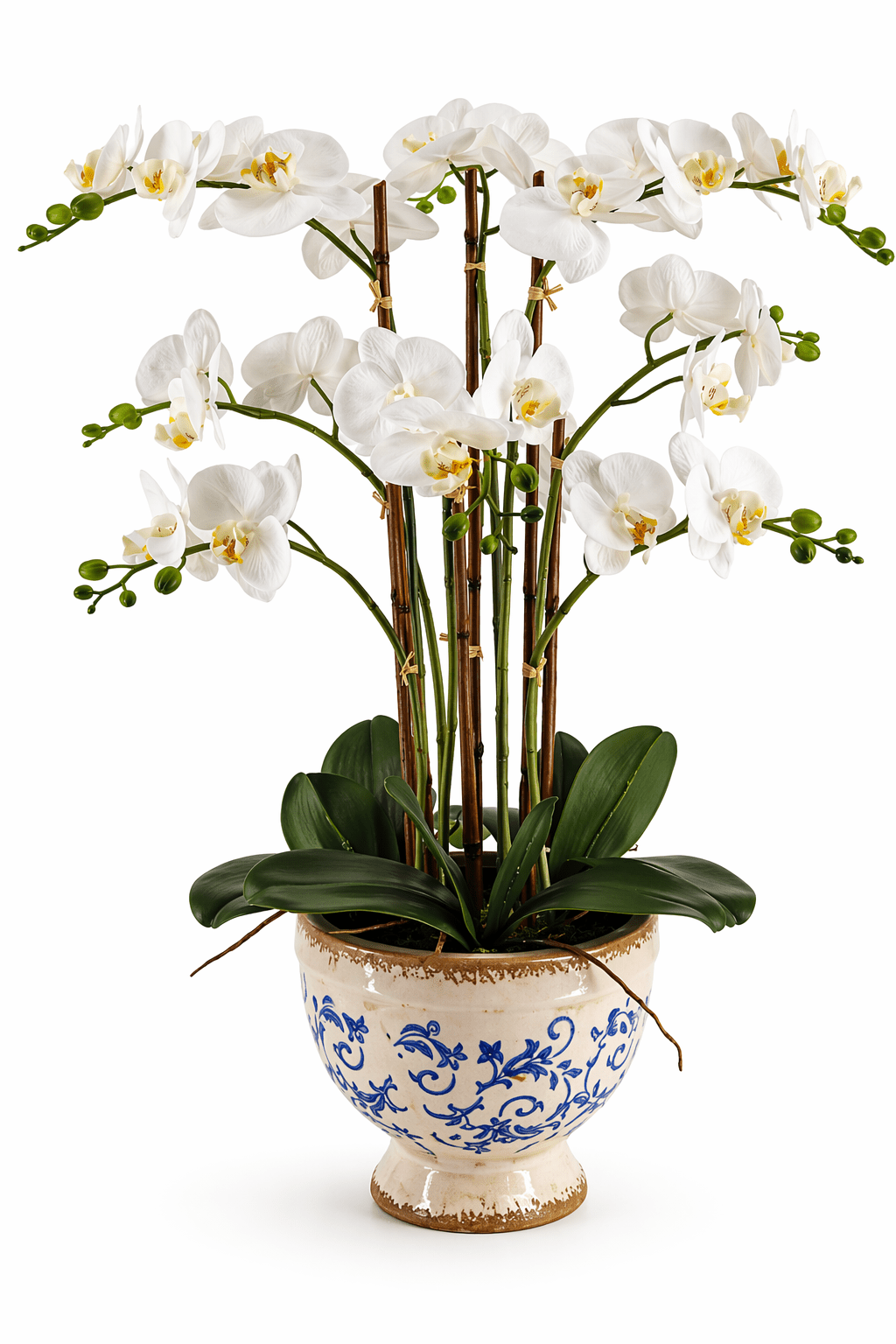 Real Touch Artificial Orchid in Ceramic Pot 68cm | Luxury home decor and furniture by Home Decor & Co