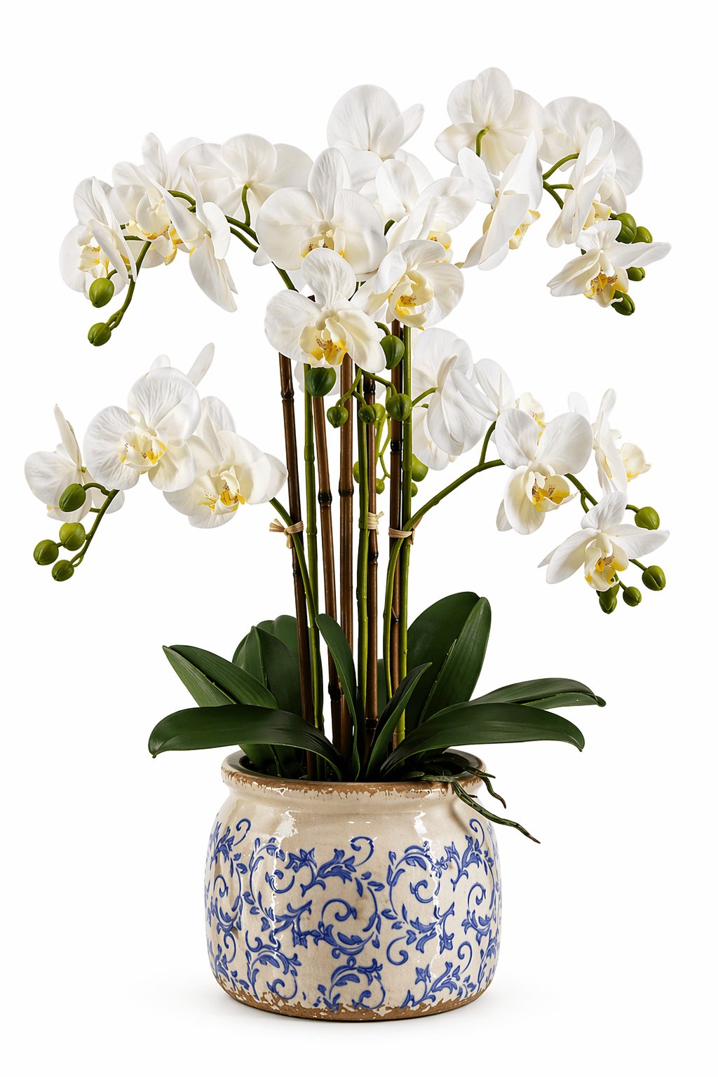 Real Touch Artificial Orchid in Pot 61cm | Luxury home decor and furniture by Home Decor & Co