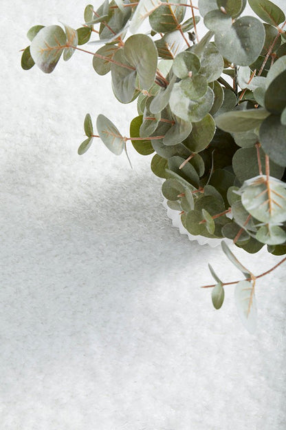 Sienna White Rug, view 8
