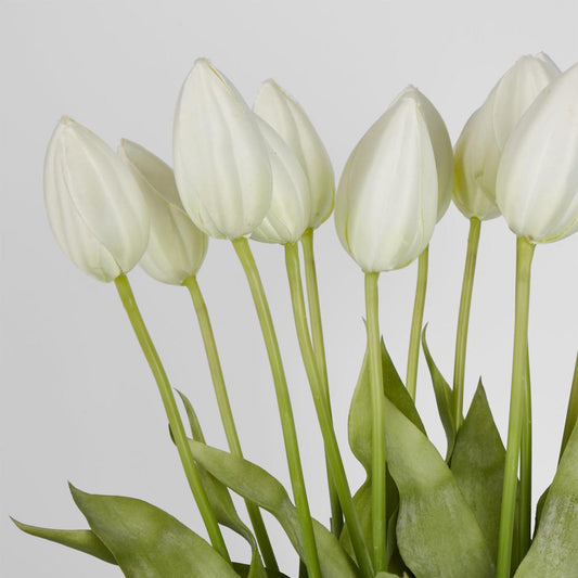 Tulip in Water Vase | Luxury home decor and furniture by Home Decor & Co