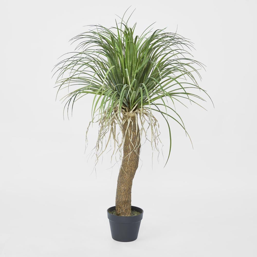 Grass Tree Small 1.1m | Luxury home decor and furniture by Home Decor & Co