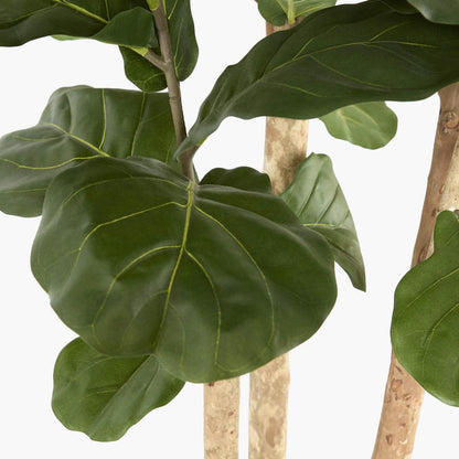 Fiddle Leaf Tree with 94 Leaves 2.3m, view 3