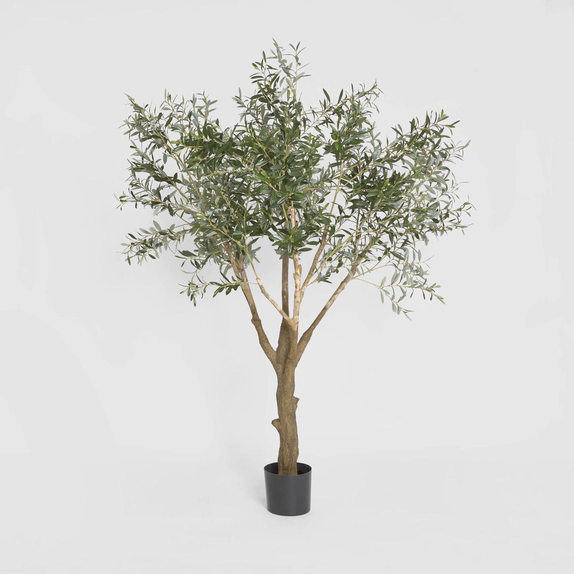 Olive Tree with 3366 Leaves 190cm