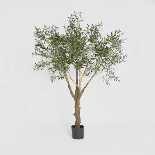 Olive Tree with 3366 Leaves 190cm | Luxury home decor and furniture by Home Decor & Co