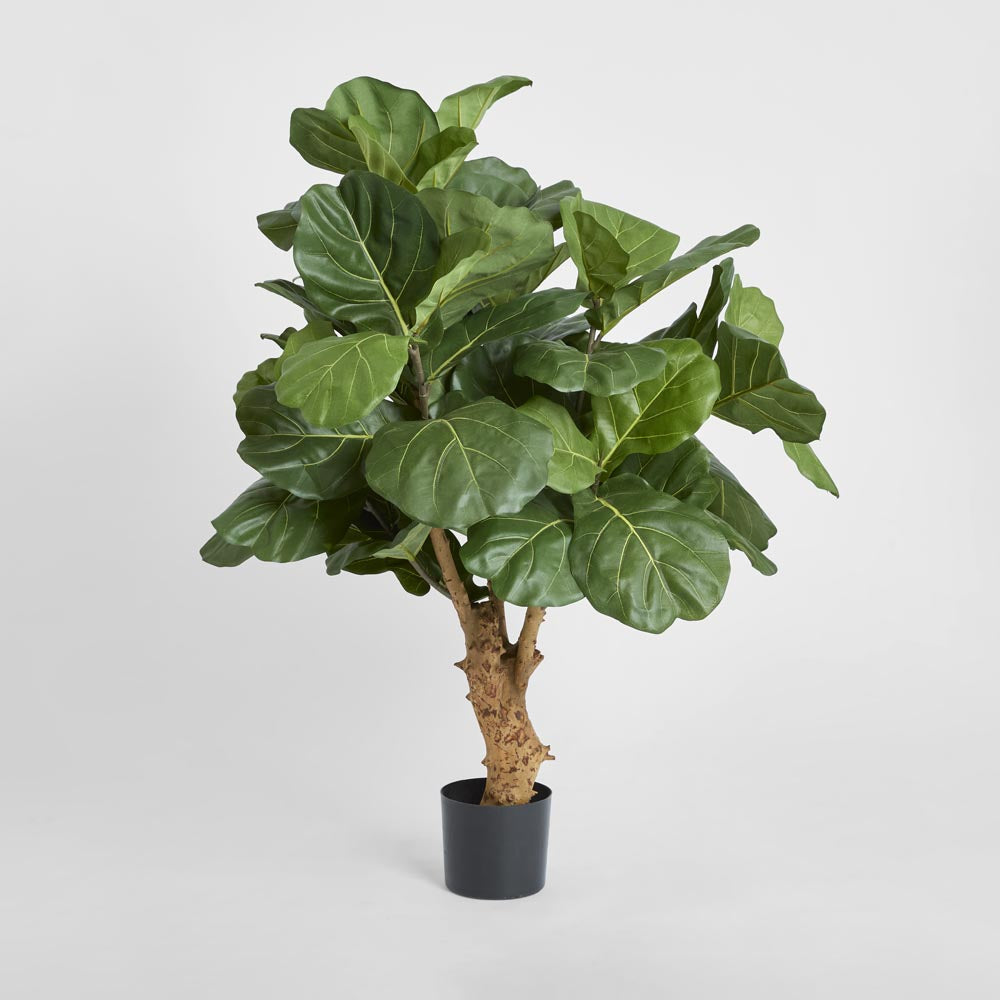 Fiddle Leaf Tree with 70 Leaves 1.2m