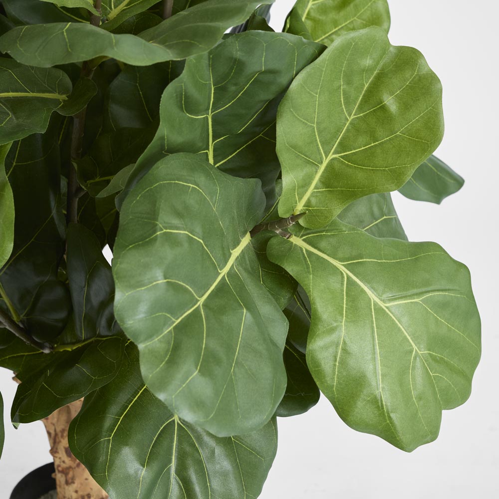 Fiddle Leaf Tree with 70 Leaves 1.2m