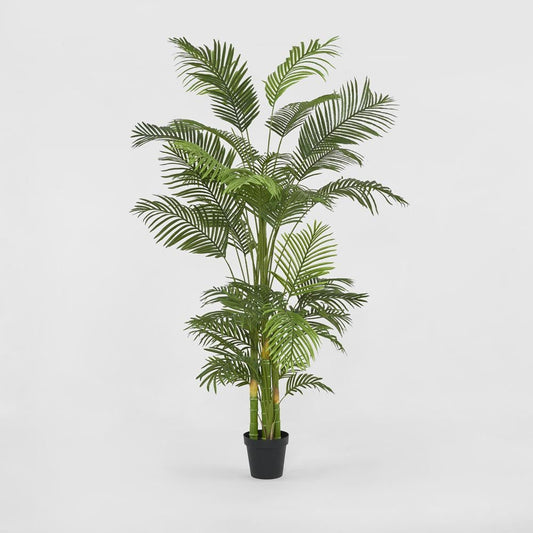 Real Touch Palm Tree in Black Pot 210cm | Luxury home decor and furniture by Home Decor & Co