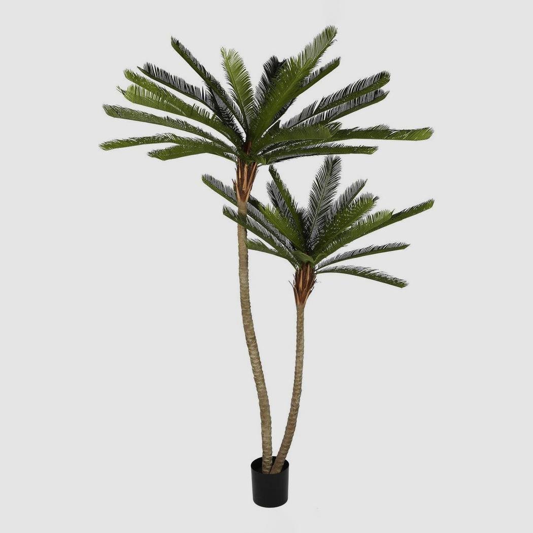Cycus Palm Tree 220cm | Luxury home decor and furniture by Home Decor & Co