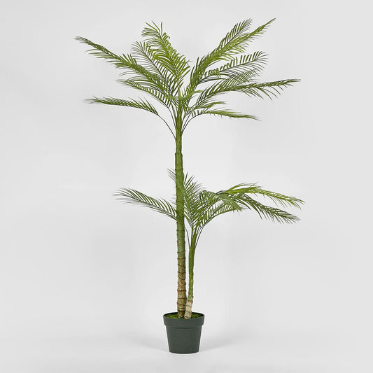 Double Stem Palm Tree 150cm | Luxury home decor and furniture by Home Decor & Co
