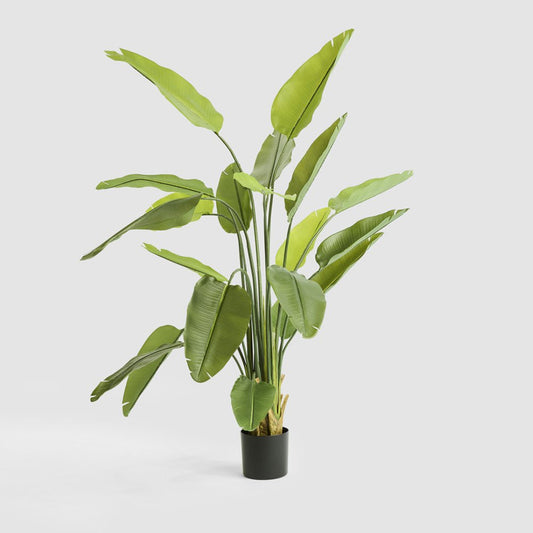 Bird of Paradise Real Touch 180cm | Luxury home decor and furniture by Home Decor & Co