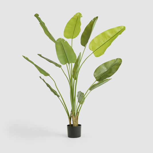 Bird of Paradise Real Touch 210cm, view 2