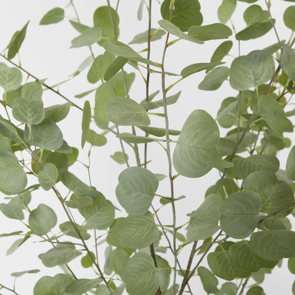 Real Touch Eucalyptus 200cm