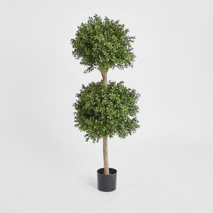 Boxwood Double Ball Tree 1.1m, view 2