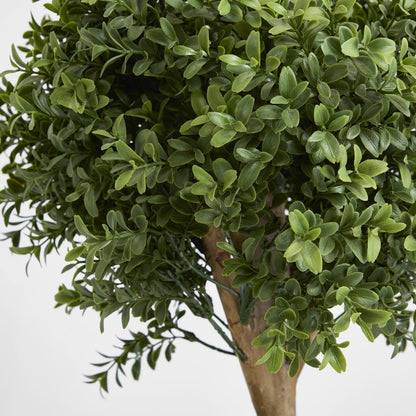 Boxwood Double Ball Tree 1.1m, view 3