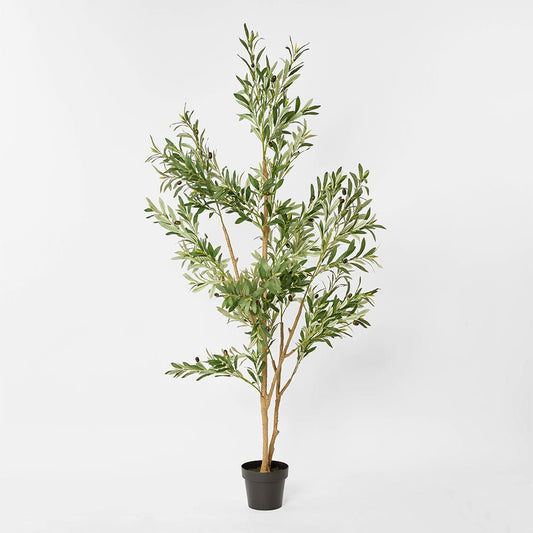 Verdant Olive Tree 180cm | Luxury home decor and furniture by Home Decor & Co