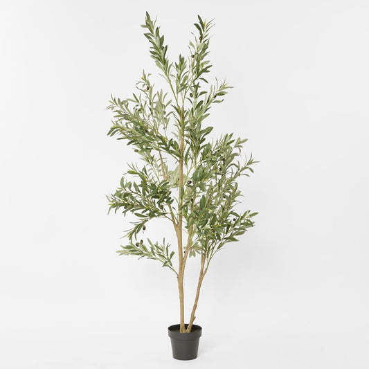 Verdant Olive Tree 180cm, view 2