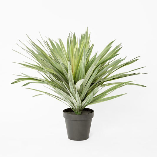 Soft Touch Potted Sisal Plant 68cm | Luxury home decor and furniture by Home Decor & Co